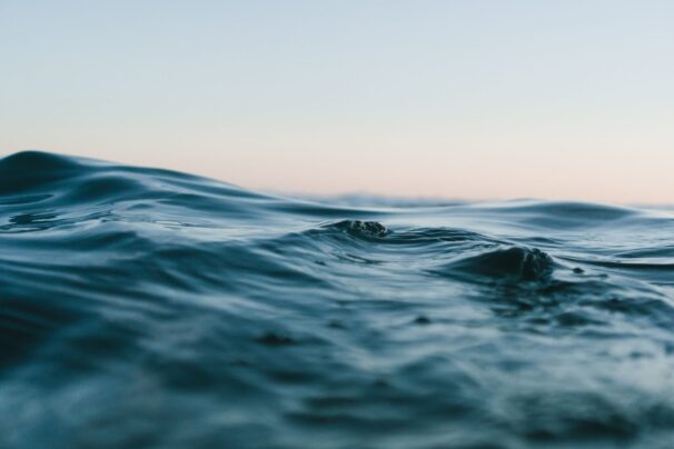 The Astonishing Diversity of Life: Exploring the Wonders of the Ocean